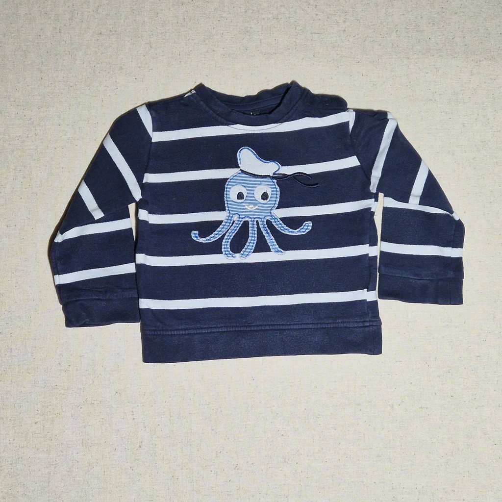 Pull pieuvre