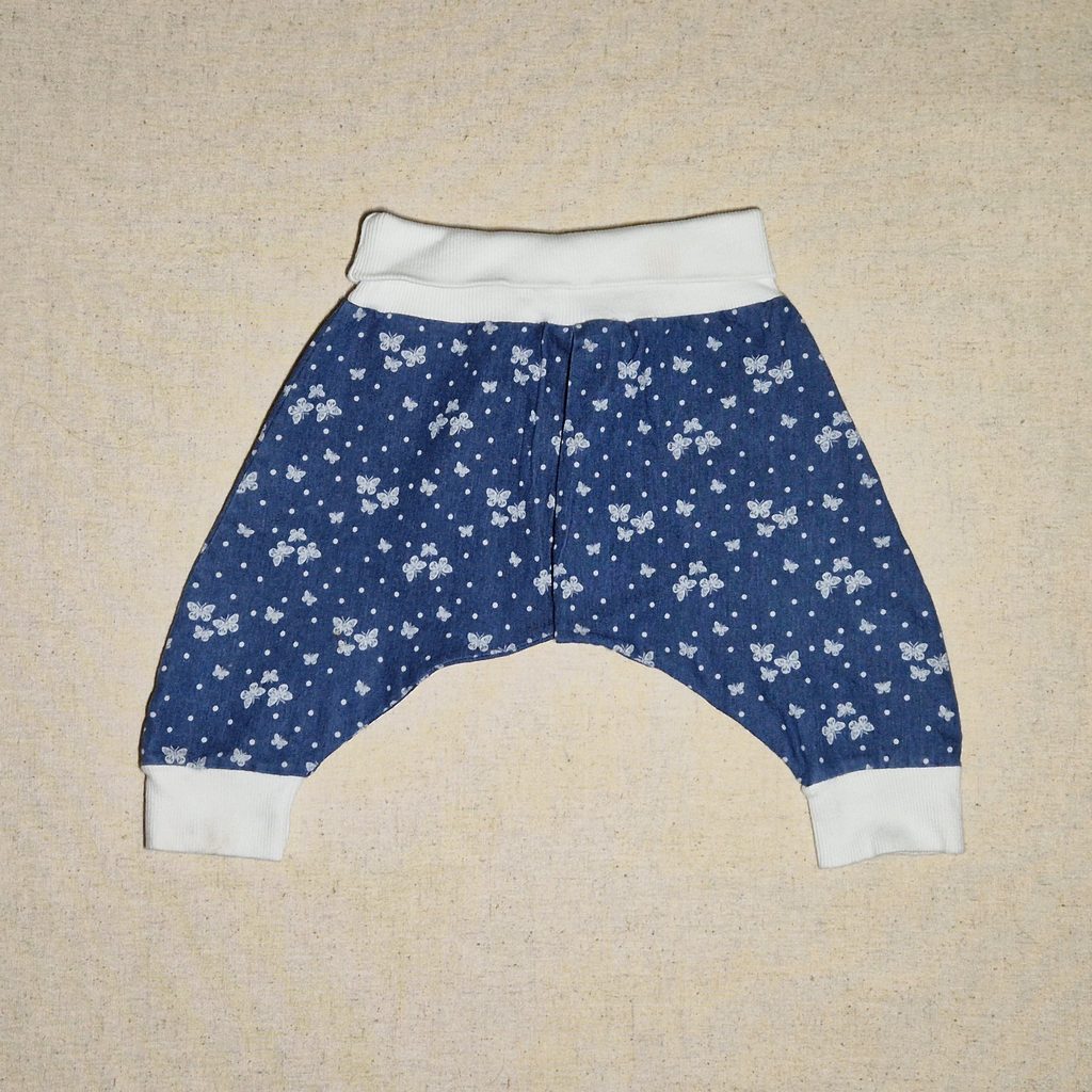 [LVDP-000031] Baggy papillon