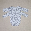 Lot 2 bodies
