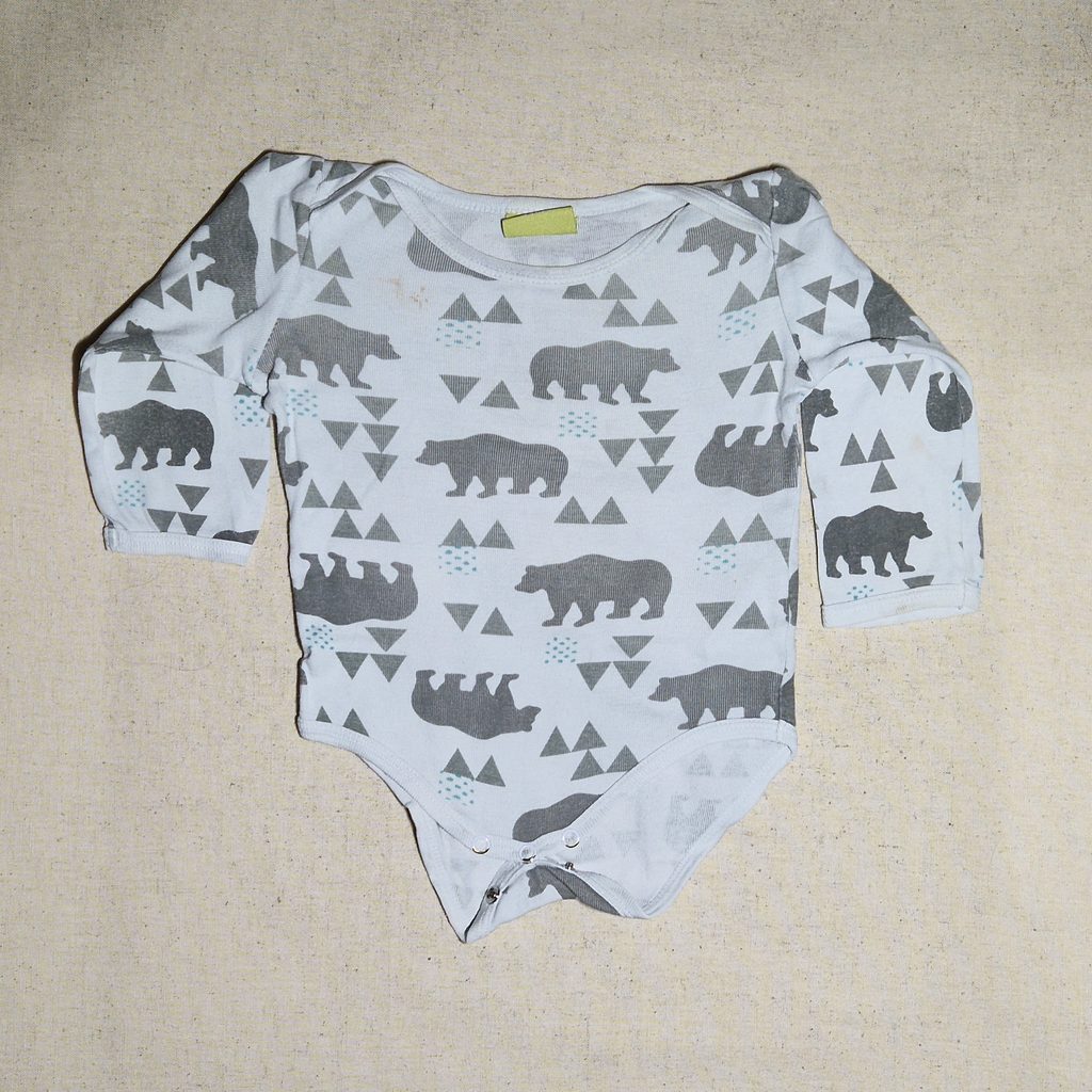Body ours polaire