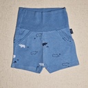 Short rhinocéros