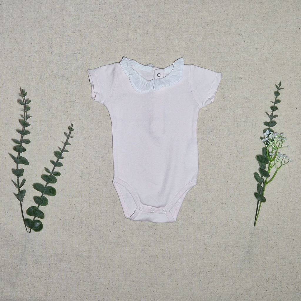 [LVDP-000304] Body rose